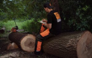 Granberg's Trustin Seating on Timber